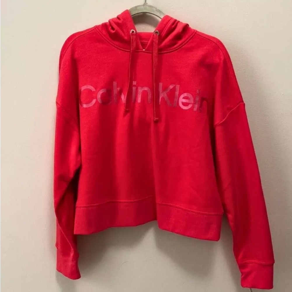 BNWOT CALVIN KLEIN Hoodie. Super soft and warm!